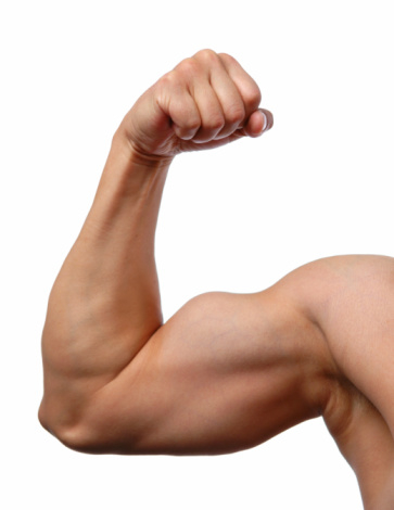 Flexed Bicep Muscle